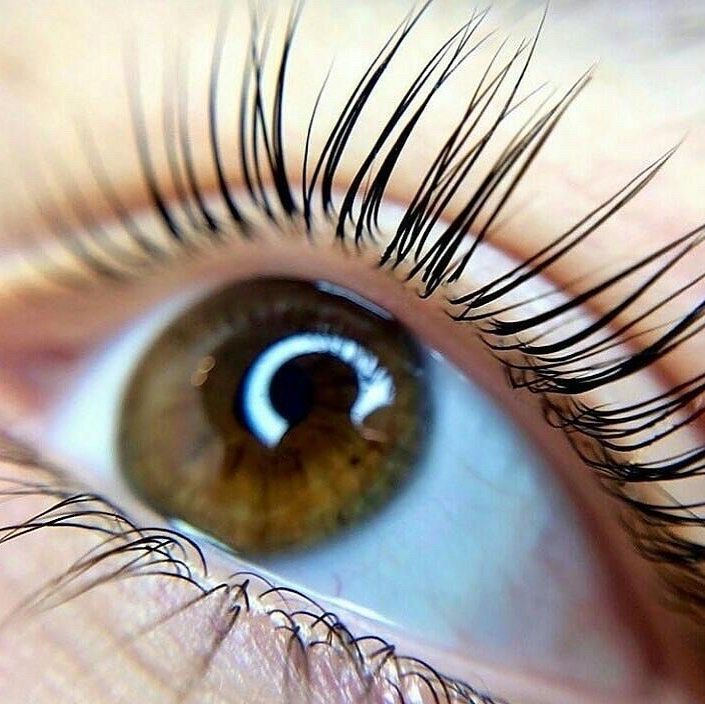 Macro Lens With Light - Image 3