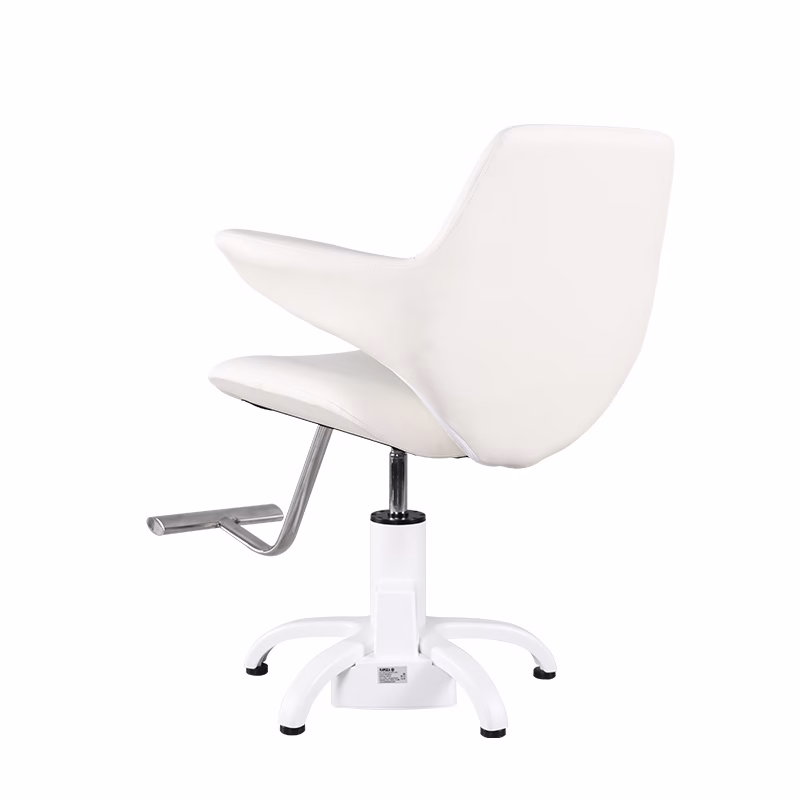 Electric Styling Chair Pre-Order - Image 3