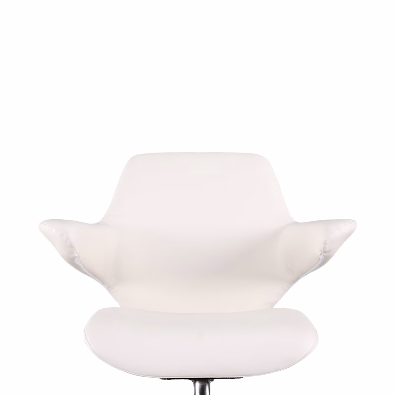Electric Styling Chair Pre-Order - Image 4